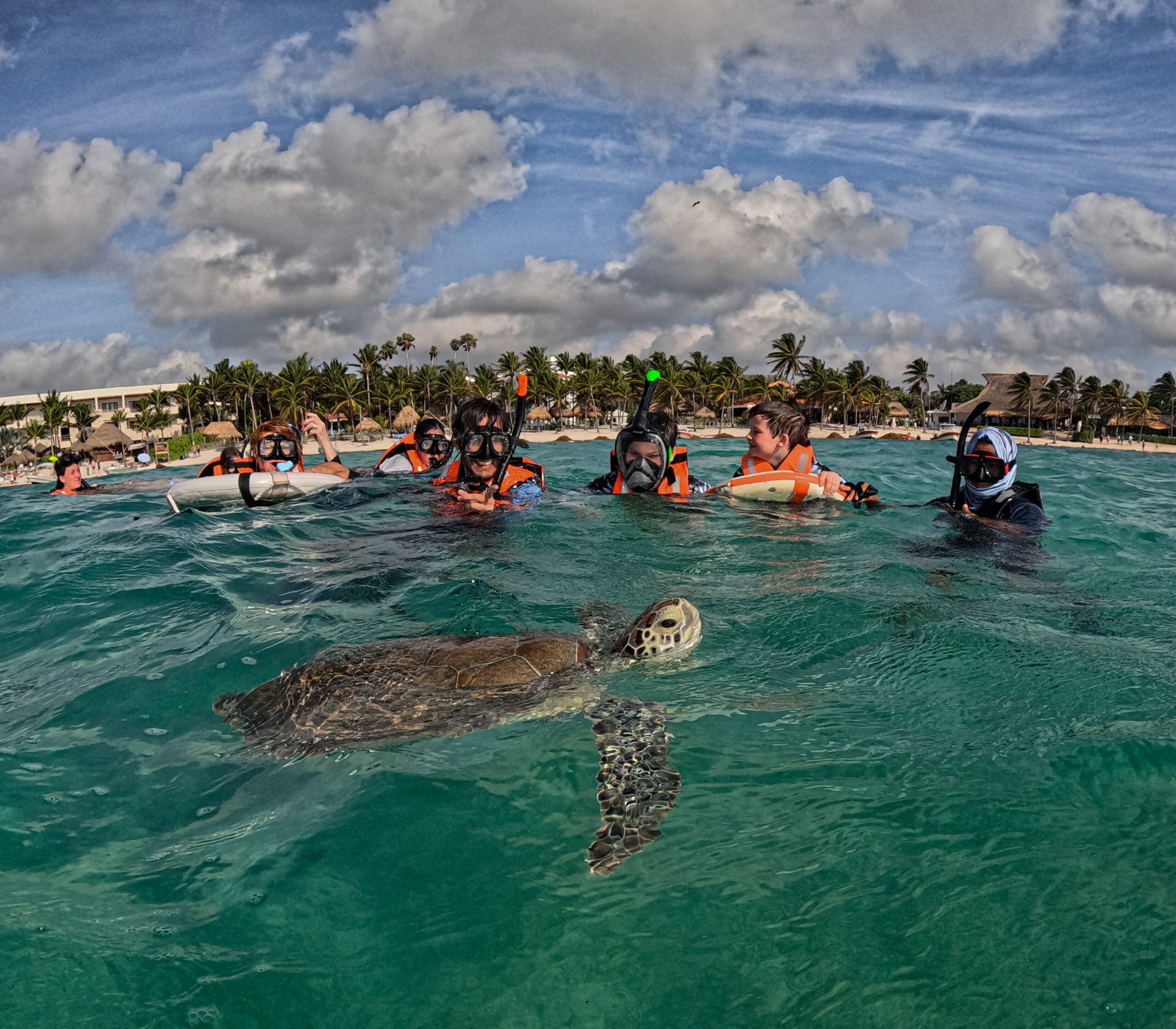 Snorkelers swimming alongside a green sea turtle in the clear turquoise water of Akumal Bay