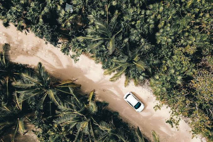 Rental car parked on a palm-lined road in the Riviera Maya, Mexico