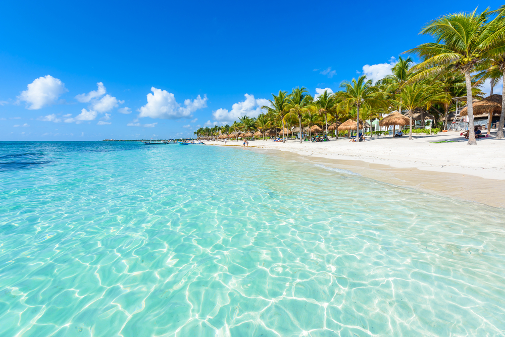 Palm trees and white sand along Akumal Beach with turquoise water and thatched umbrellas under a bright blue sky