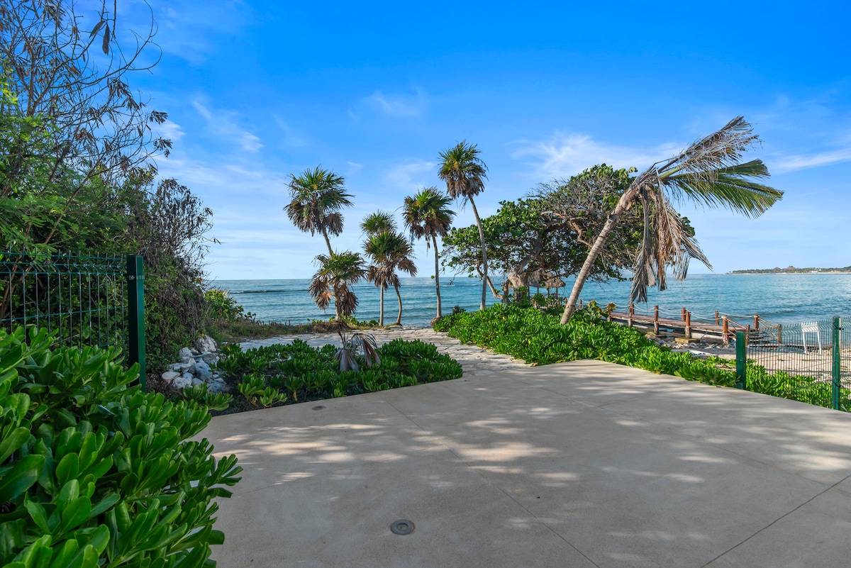 Seafront walkway near Santamar by TAO with palm trees and the Caribbean Sea