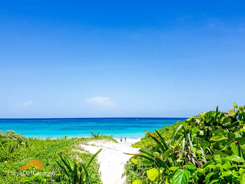 White sand path through lush green coastal vegetation leading to the turquoise Caribbean at Playa Xcacel