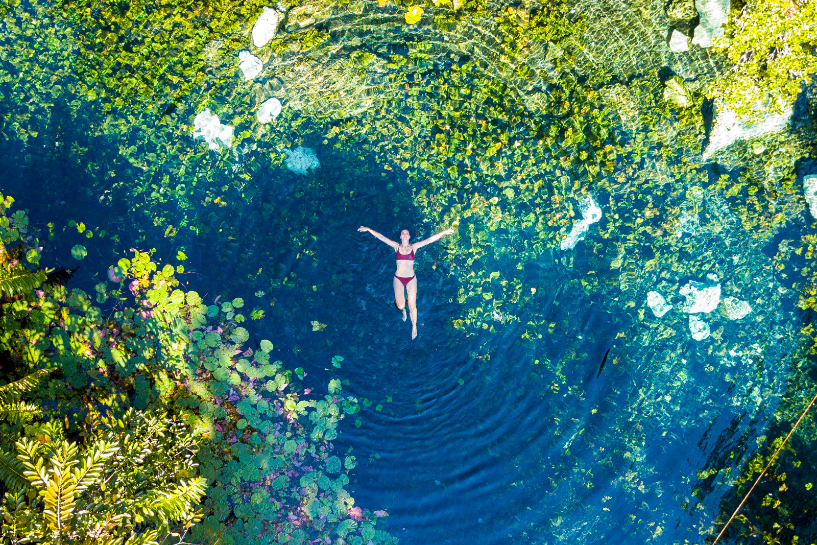 Aerial view of a swimmer floating in the crystal-clear blue water of Cenote Nic Te Ha, surrounded by lush green water lilies and tropical vegetation