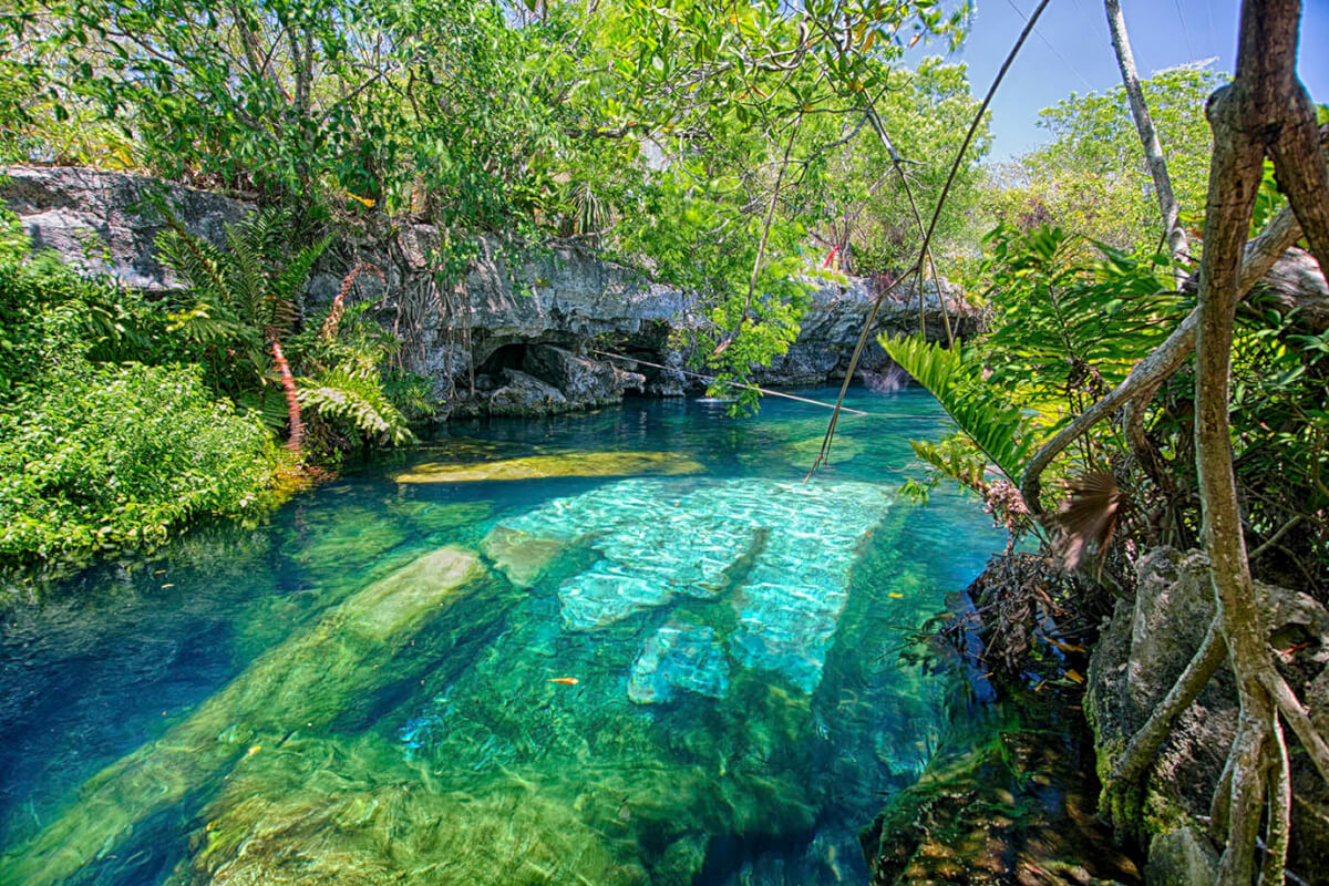 Crystal-clear turquoise water of Cenote Cristalino near Akumal, surrounded by tropical vegetation and limestone rocks