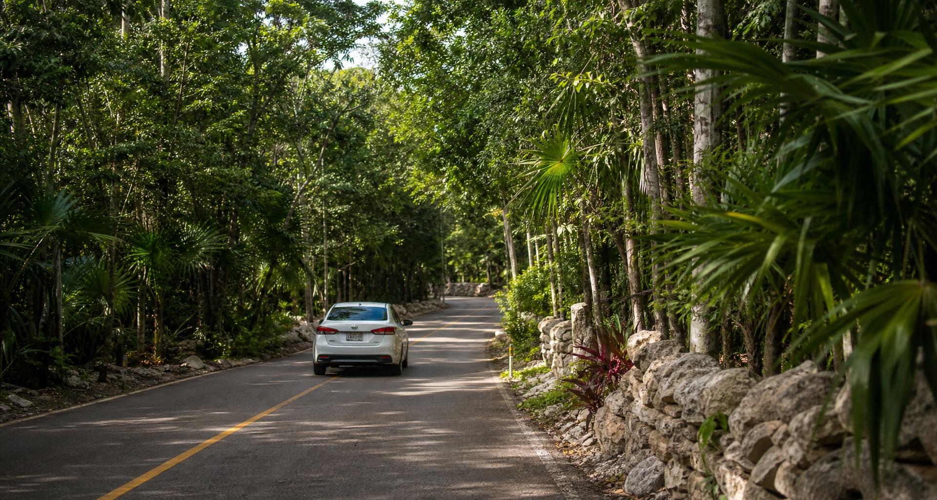 Scenic jungle road winding past a turquoise cenote in the Riviera Maya